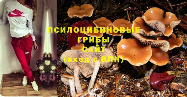 прущая мука Алексин