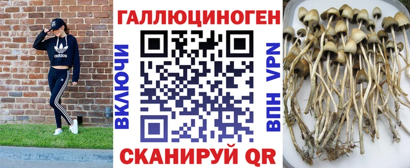 площадка формула Апатиты Галлюциногенные грибы GOLDEN TEACHER